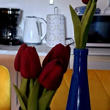 Rab Blue *